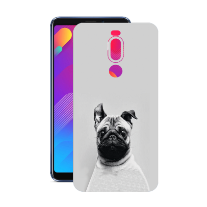 Защитная пленка StatusSKIN для Meizu V8