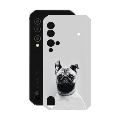 Захисна плівка StatusSKIN для Blackview BV9900
