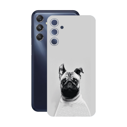 Защитная пленка StatusSKIN для Samsung Samsung Galaxy F34 (E346)