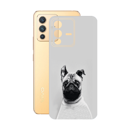 Захисна плівка StatusSKIN для Vivo V23