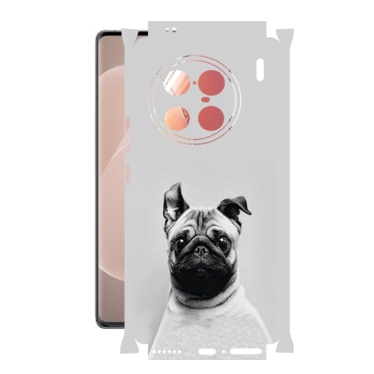 Защитная пленка StatusSKIN для Vivo X90 Pro Plus