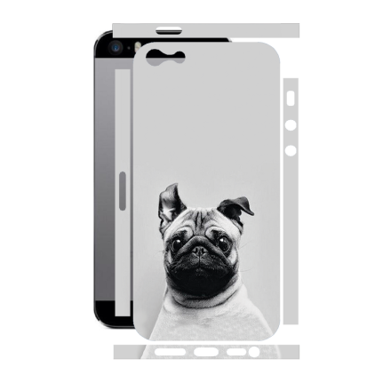 Захисна плівка StatusSKIN для Apple iPhone 5