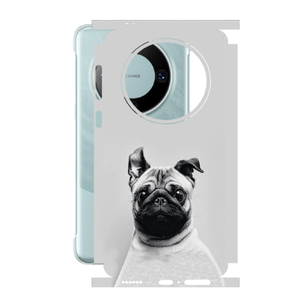 Защитная пленка StatusSKIN для Huawei Mate 60 Pro