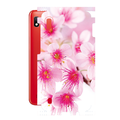 Захисна плівка StatusSKIN для Samsung Galaxy A10 (A105)