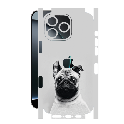 Защитная пленка StatusSKIN для Apple iPhone 16 Pro Max