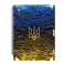 Захисна плівка StatusSKIN для Apple iPad Mini 6 2021