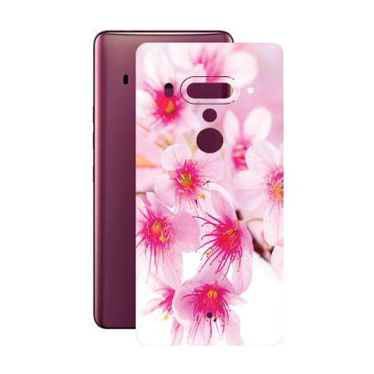 Захисна плівка StatusSKIN для HTC U12 Plus