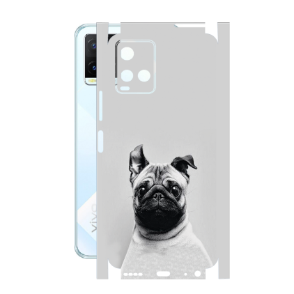 Защитная пленка StatusSKIN для Vivo Y21