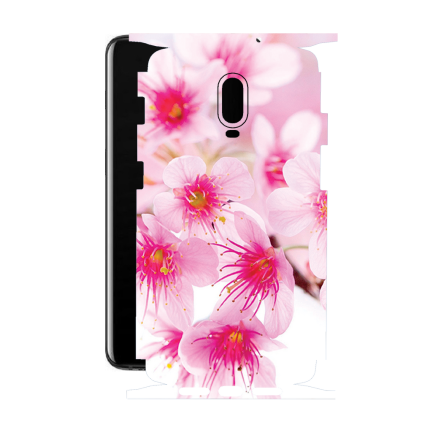 Защитная пленка StatusSKIN для OnePlus 6T