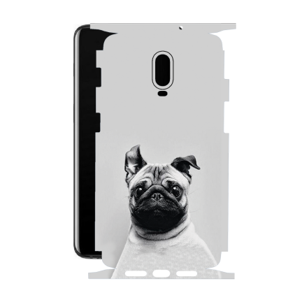 Защитная пленка StatusSKIN для OnePlus 6T
