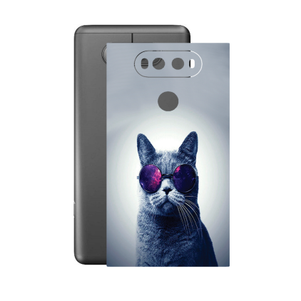 Захисна плівка StatusSKIN для LG V20