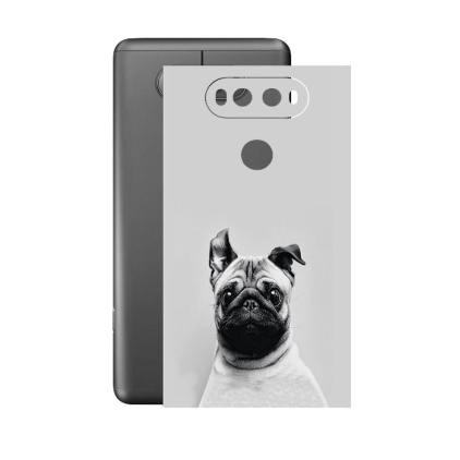 Захисна плівка StatusSKIN для LG V20