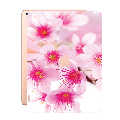 Захисна плівка StatusSKIN для Apple iPad 8 10,2 (2020)
