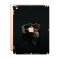 Захисна плівка StatusSKIN для Apple iPad 8 10,2 (2020)