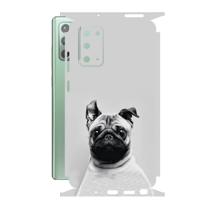 Защитная пленка StatusSKIN для Samsung Galaxy Note 20 5G (N981)