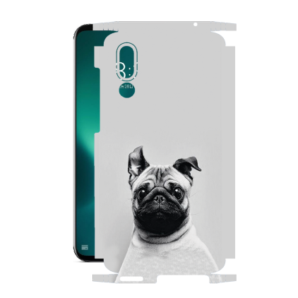 Захисна плівка StatusSKIN для Meizu 16s