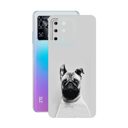 Защитная пленка StatusSKIN для ZTE Blade V30
