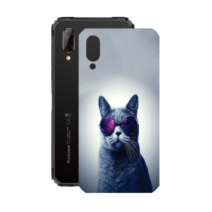 Защитная пленка StatusSKIN для Blackview BV6100