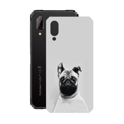 Защитная пленка StatusSKIN для Blackview BV6100