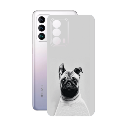 Защитная пленка StatusSKIN для Meizu 18s