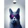 Захисна плівка StatusSKIN для Asus ZenFone Max Pro M1 ZB601KL/ZB633KL