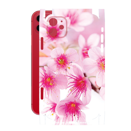 Захисна плівка StatusSKIN для Apple iPhone 11