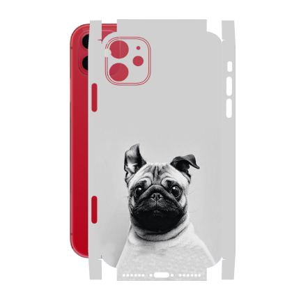 Защитная пленка StatusSKIN для Apple iPhone 11