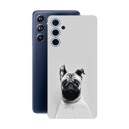 Захисна плівка StatusSKIN для Samsung Galaxy F54 (E546)