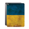 Защитная пленка StatusSKIN для Apple iPad Air 11 2025