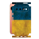 Захисна плівка StatusSKIN для Google Pixel 11 5G
