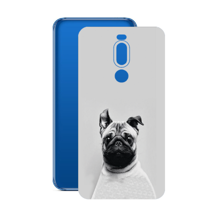 Защитная пленка StatusSKIN для Meizu X8
