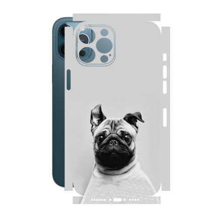 Захисна плівка StatusSKIN для Apple iPhone 12 Pro Max