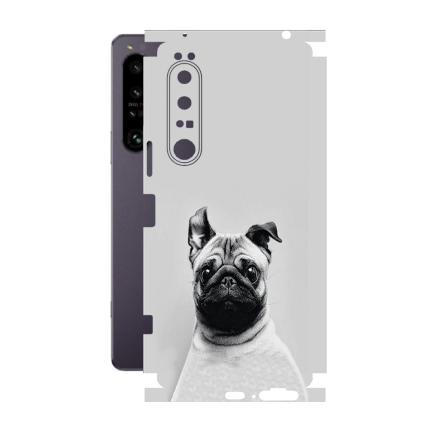 Захисна плівка StatusSKIN для Sony Xperia 1 IV XQ-CT72