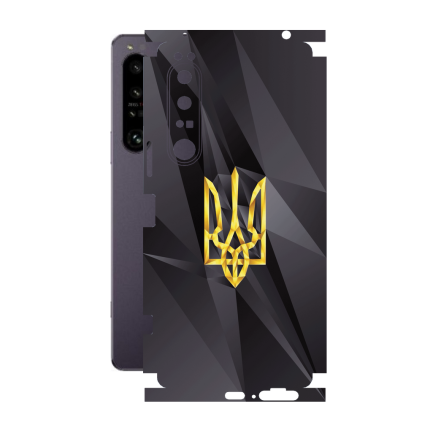 Захисна плівка StatusSKIN для Sony Xperia 1 IV XQ-CT72