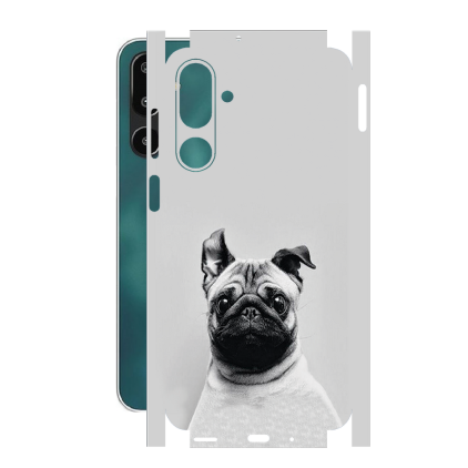 Захисна плівка StatusSKIN для Samsung Galaxy F16 (E166)