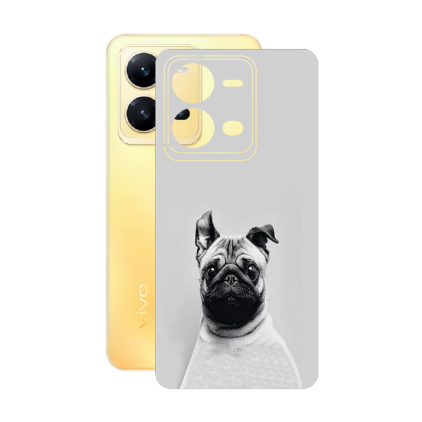 Захисна плівка StatusSKIN для Vivo X80 Lite