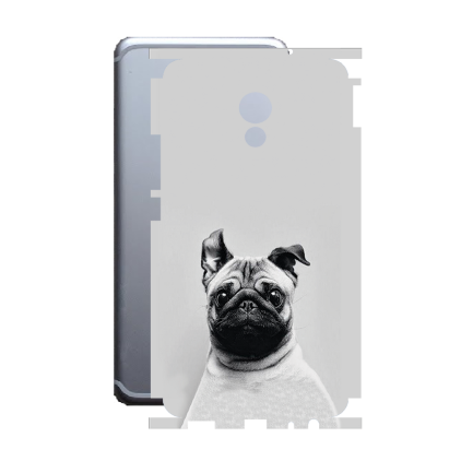 Защитная пленка StatusSKIN для Meizu Pro 6 Plus