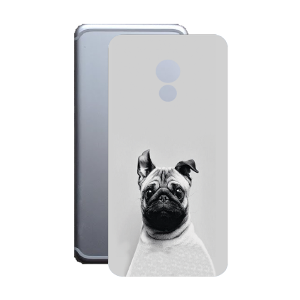 Защитная пленка StatusSKIN для Meizu Pro 6s