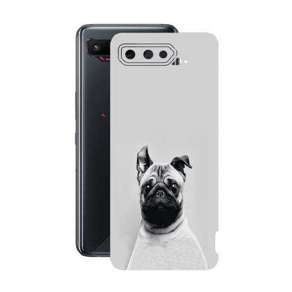 Защитная пленка StatusSKIN для Asus ROG Phone 5
