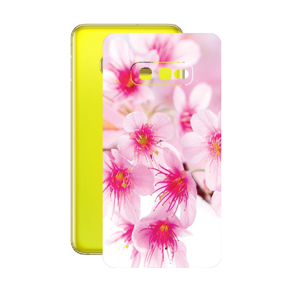 Захисна плівка StatusSKIN для Samsung Galaxy S10e (G970)