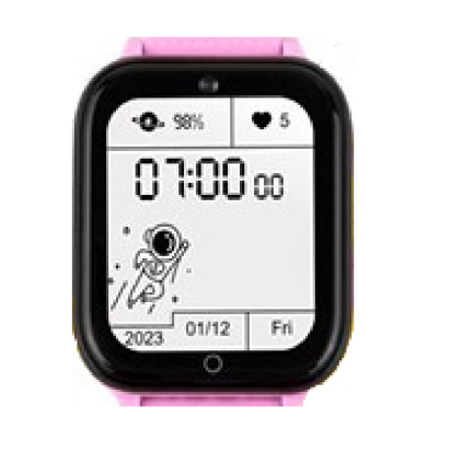 Защитная пленка StatusSKIN для Garmix PointPRO-300