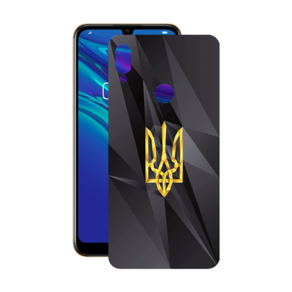 Защитная пленка StatusSKIN для Huawei Y6 2019