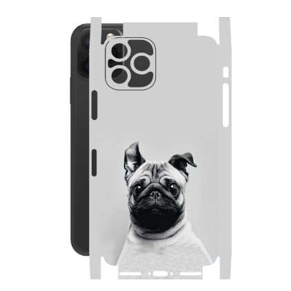 Захисна плівка StatusSKIN для Apple iPhone 11 Pro