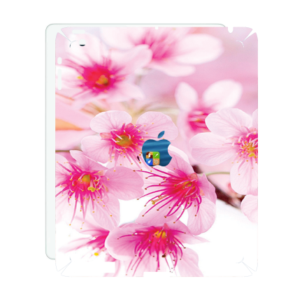 Захисна плівка StatusSKIN для Apple iPad 3 A1416