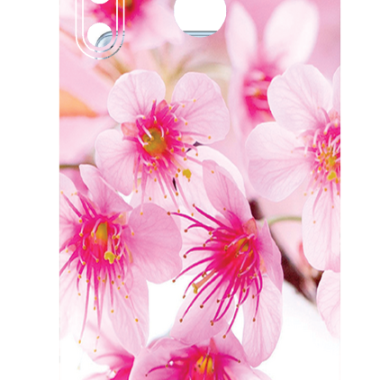 Захисна плівка StatusSKIN для HTC Desier 20 Pro