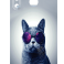 Захисна плівка StatusSKIN для HTC Desier 20 Pro