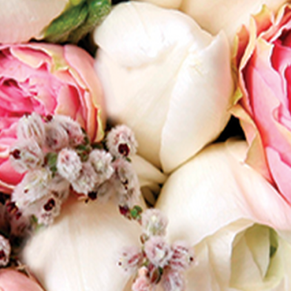 Защитная пленка StatusSKIN для Xiaomi Redmi Note 11 4G 2021 (USA)