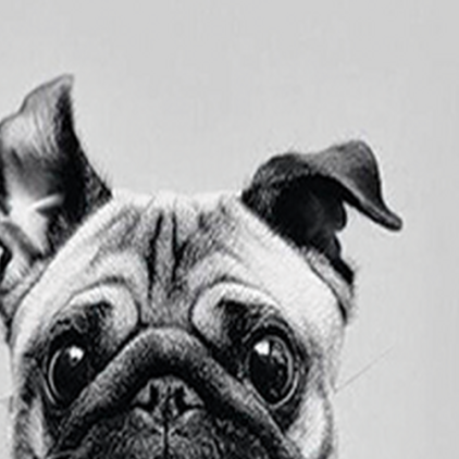 Защитная пленка StatusSKIN для Xiaomi Redmi Note 11 4G 2021 (USA)