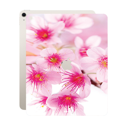 Защитная пленка StatusSKIN для Apple Apple iPad Air 13 2025