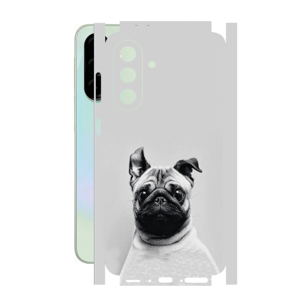 Защитная пленка StatusSKIN для Samsung Galaxy A36 5G (A366)